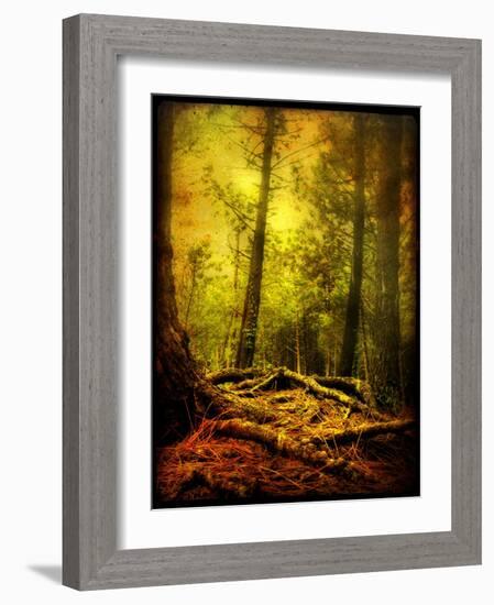 Exalted Father-Cristina Carra Caso-Framed Photographic Print