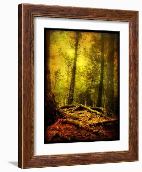 Exalted Father-Cristina Carra Caso-Framed Photographic Print