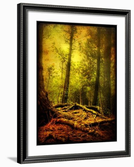 Exalted Father-Cristina Carra Caso-Framed Photographic Print