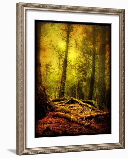 Exalted Father-Cristina Carra Caso-Framed Photographic Print