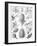 Examples of Coniferae from 'Kunstformen Der Natur', 1899-Ernst Haeckel-Framed Giclee Print