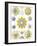 Examples of Polycyttaria 'Kunstformen Der Natur', 1899-Ernst Haeckel-Framed Giclee Print