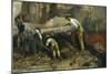 Excavations at Herculaneum-Filippo Palizzi-Mounted Giclee Print