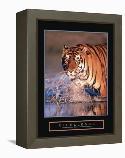 Excellence-null-Framed Stretched Canvas