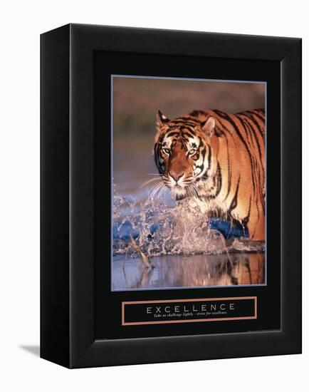 Excellence-null-Framed Stretched Canvas