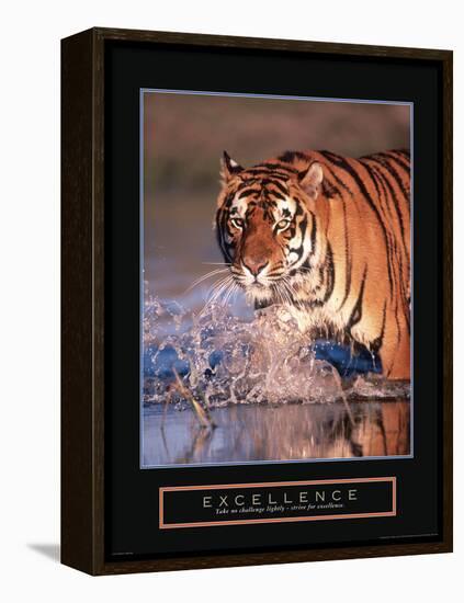 Excellence-null-Framed Stretched Canvas