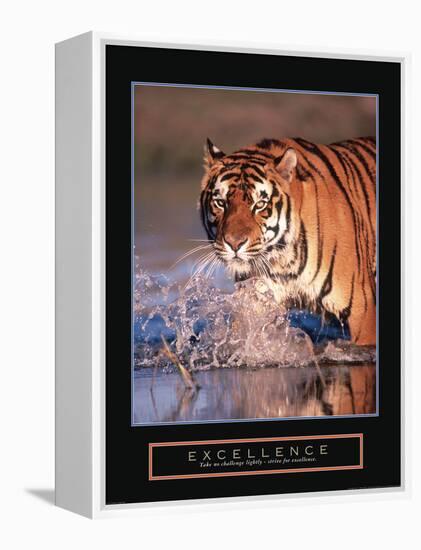 Excellence-null-Framed Stretched Canvas