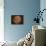 Excellent Closeup of a Full Moon-null-Framed Premier Image Canvas displayed on a wall
