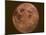 Excellent Closeup of a Full Moon-null-Mounted Photographic Print
