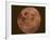 Excellent Closeup of a Full Moon-null-Framed Photographic Print