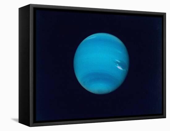 Excellent Narrow-Angle Camera Views of the Planet Neptune Taken from Voyager 2 Spacecraft-null-Framed Premier Image Canvas