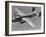 Excellent of a B-25 Mitchell Bomber in Flight-null-Framed Photographic Print