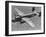 Excellent of a B-25 Mitchell Bomber in Flight-null-Framed Photographic Print