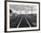 Excellent of Southern Pacific Railroad Tracks Stretching Off Into the Distance-Frank Scherschel-Framed Photographic Print