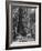 Excellent Set Showing Lumberjacks Working in the Forests, Sawing and Chopping Trees-J^ R^ Eyerman-Framed Photographic Print