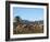 Excursion By Camel to Visit Volcano, National Park of Timanfaya, Lanzarote, Canary Islands, Spain-null-Framed Photographic Print