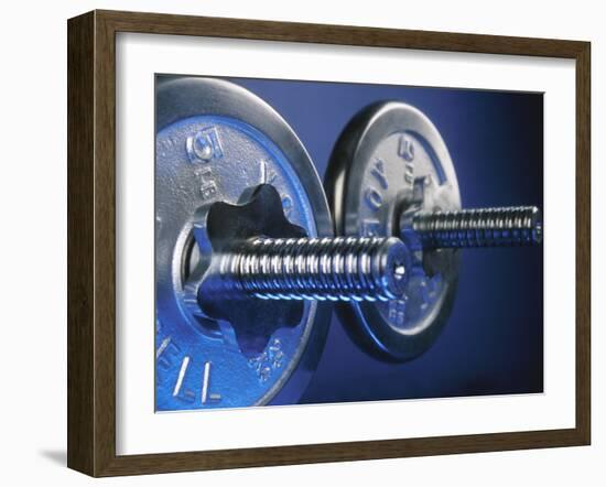 Exercise Weights-null-Framed Photographic Print