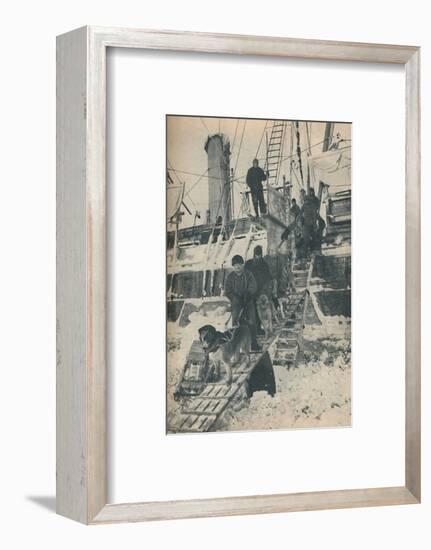 'Exercising the Dogs', 1936-Unknown-Framed Photographic Print