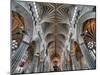 Exeter Cathedral, Exeter, Devon, UK-Ivan Vdovin-Mounted Photographic Print