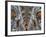 Exeter Cathedral, Exeter, Devon, UK-Ivan Vdovin-Framed Photographic Print