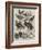 Exhibition of Game Birds and Bantams at the Crystal Palace-Harrison William Weir-Framed Giclee Print