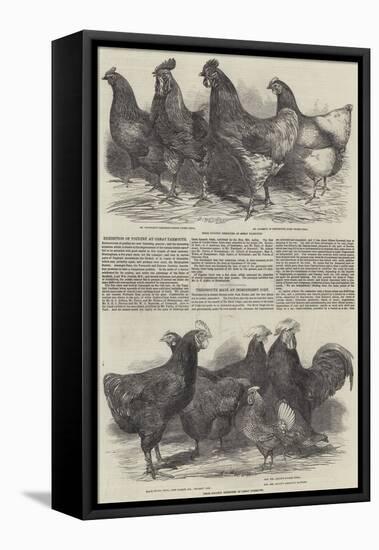 Exhibition of Poultry at Great Yarmouth-Harrison William Weir-Framed Premier Image Canvas