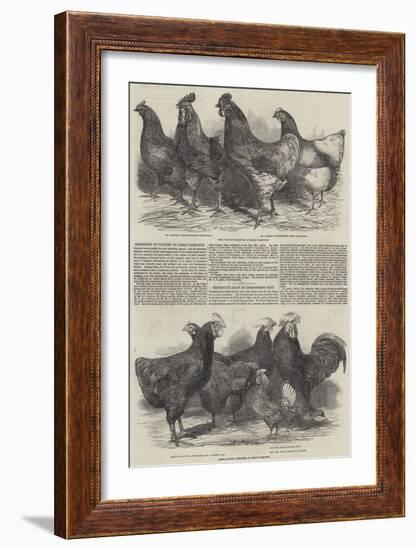 Exhibition of Poultry at Great Yarmouth-Harrison William Weir-Framed Giclee Print