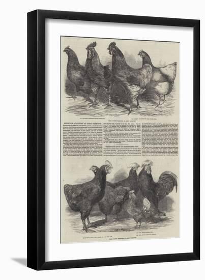 Exhibition of Poultry at Great Yarmouth-Harrison William Weir-Framed Giclee Print