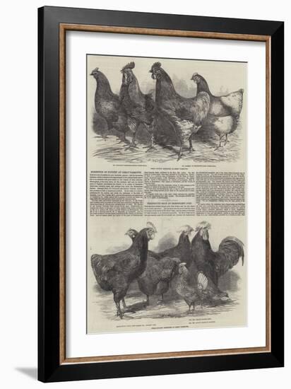 Exhibition of Poultry at Great Yarmouth-Harrison William Weir-Framed Giclee Print