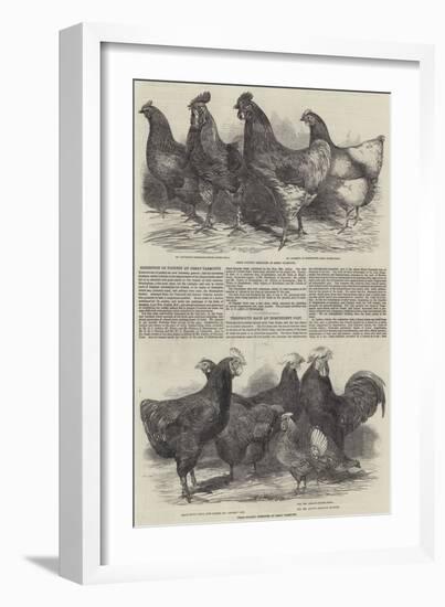 Exhibition of Poultry at Great Yarmouth-Harrison William Weir-Framed Giclee Print