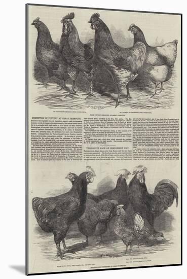 Exhibition of Poultry at Great Yarmouth-Harrison William Weir-Mounted Giclee Print