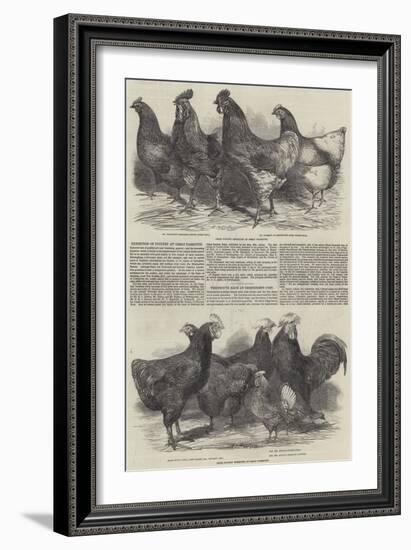 Exhibition of Poultry at Great Yarmouth-Harrison William Weir-Framed Giclee Print