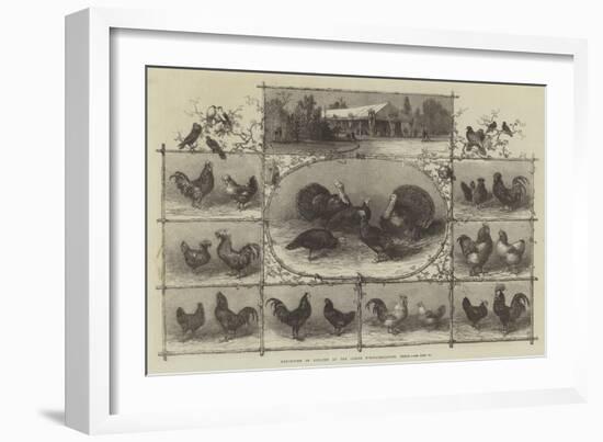 Exhibition of Poultry at the Jardin D'Acclimatation, Paris-null-Framed Giclee Print