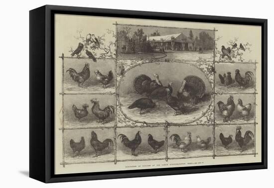 Exhibition of Poultry at the Jardin D'Acclimatation, Paris-null-Framed Premier Image Canvas