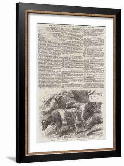 Exhibition of the Royal Agricultural Society of England-Harrison William Weir-Framed Giclee Print