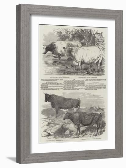 Exhibition of the Royal Agricultural Society of England-Harrison William Weir-Framed Giclee Print