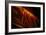 Exit Sign-Alan Sirulnikoff-Framed Photographic Print