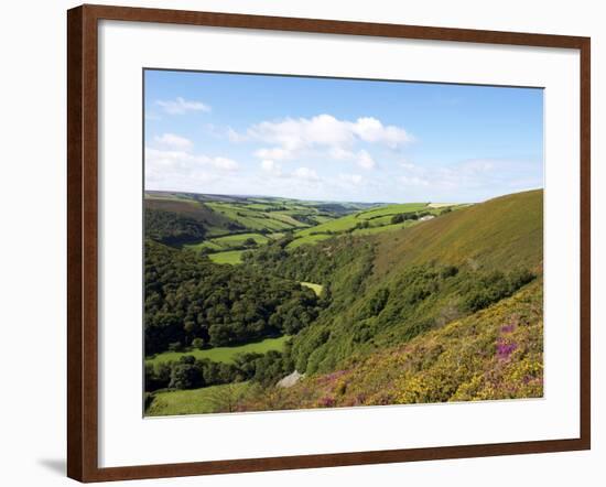 Exmoor From County Gate, Looking Towards Brendon, Exmoor National Park, Somerset, England, Uk-Jeremy Lightfoot-Framed Photographic Print