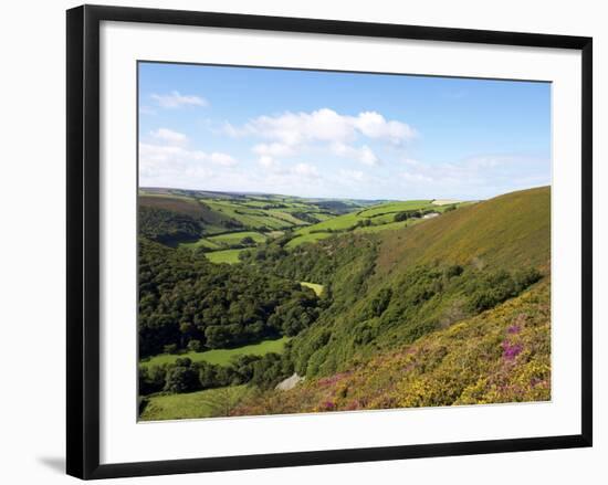 Exmoor From County Gate, Looking Towards Brendon, Exmoor National Park, Somerset, England, Uk-Jeremy Lightfoot-Framed Photographic Print