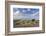 Exmoor Ponies Grazing on Heather Covered Moorland on Porlock Common, Exmoor, Somerset-Adam Burton-Framed Photographic Print