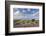 Exmoor Ponies Grazing on Heather Covered Moorland on Porlock Common, Exmoor, Somerset-Adam Burton-Framed Photographic Print