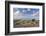 Exmoor Ponies Grazing on Heather Covered Moorland on Porlock Common, Exmoor, Somerset-Adam Burton-Framed Photographic Print