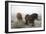 Exmoor Ponies-Dr. Keith Wheeler-Framed Photographic Print