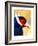 Exotic Bird-Enrico Varrasso-Framed Art Print