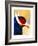 Exotic Bird-Enrico Varrasso-Framed Premium Giclee Print