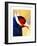 Exotic Bird-Enrico Varrasso-Framed Premium Giclee Print