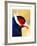 Exotic Bird-Enrico Varrasso-Framed Art Print