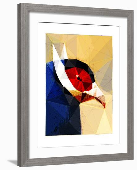 Exotic Bird-Enrico Varrasso-Framed Art Print