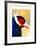 Exotic Bird-Enrico Varrasso-Framed Art Print