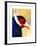 Exotic Bird-Enrico Varrasso-Framed Art Print